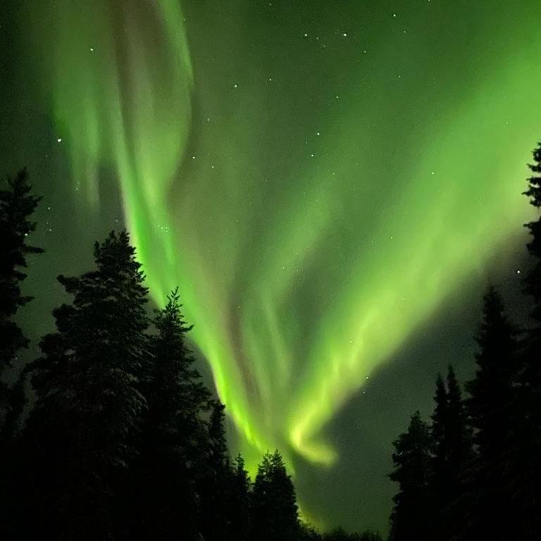 Villa Kuulas Saaskilahti エクステリア 写真