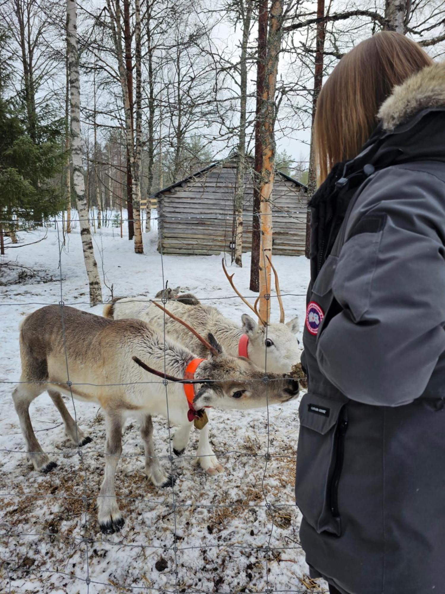 Villa Kuulas Saaskilahti エクステリア 写真